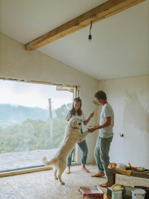 pexels-anastasia-shuraeva-5482148