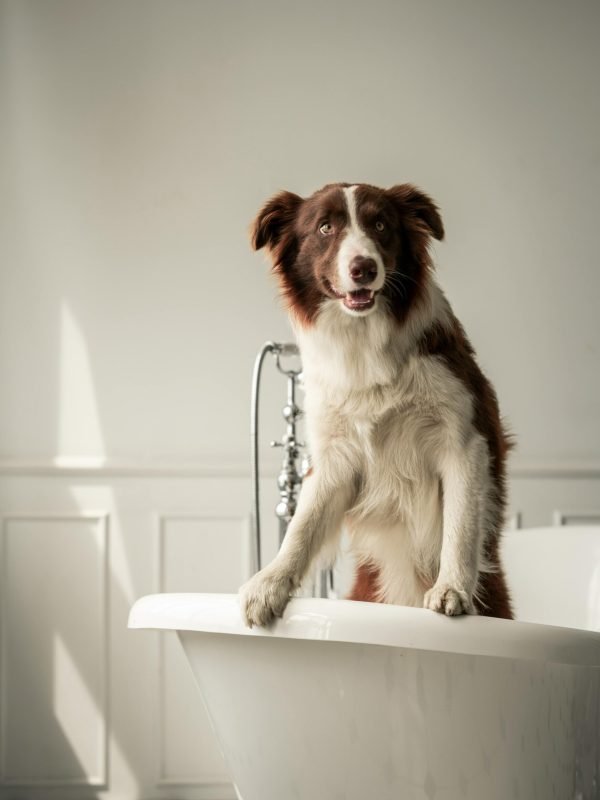 pexels-miami302-8343330