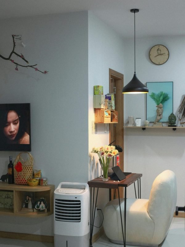 pexels-thoinamcao-11603129